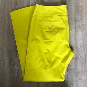Lime green dress pant (long)